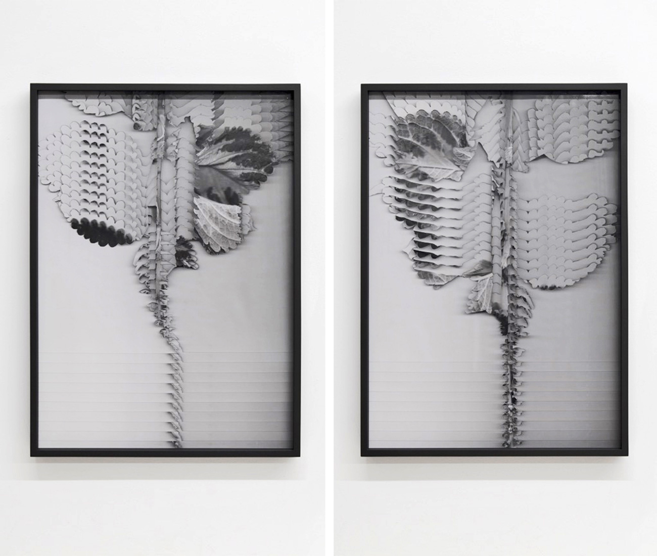 Art Toronto local artists - Susy Oliveira